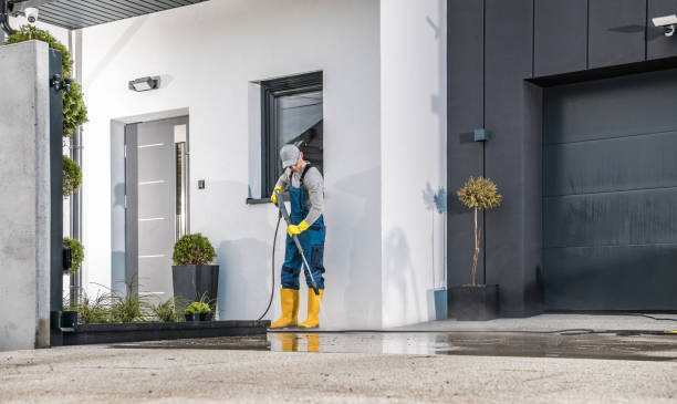 Best Spring Cleaning  in North St Paul, MN